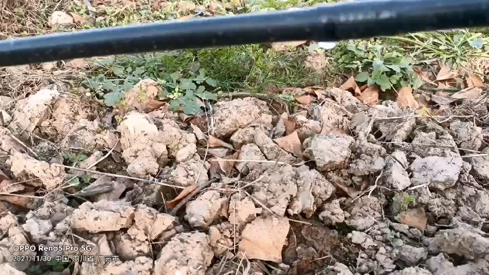 應用視頻