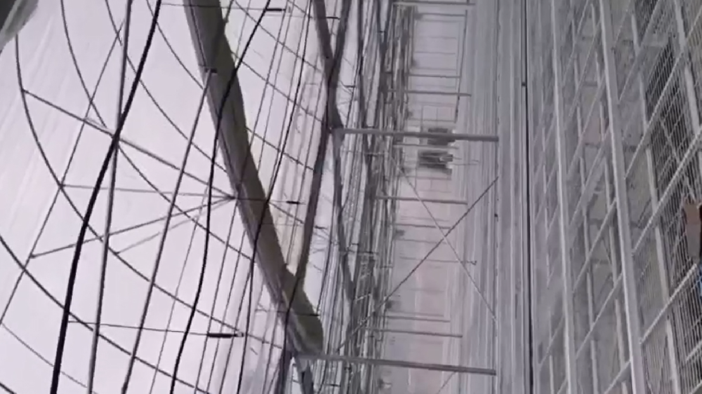 應用視頻