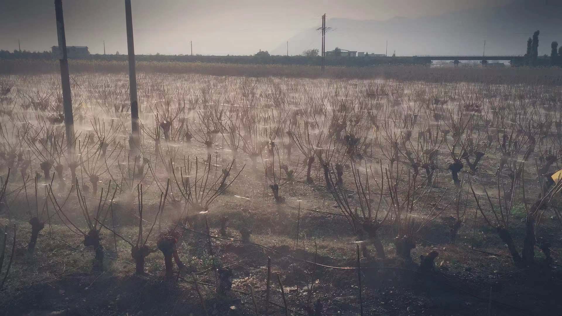 微信圖片_20201222111512.jpg