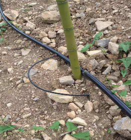 穩流器