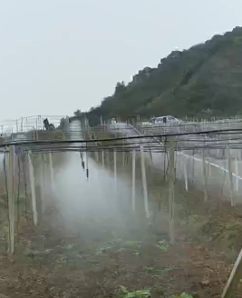 應用視頻