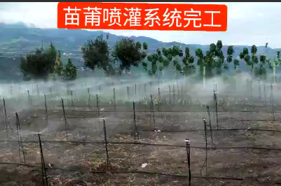 應用視頻