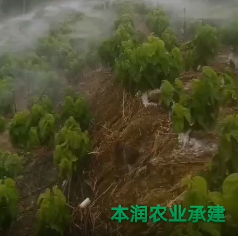 應用視頻
