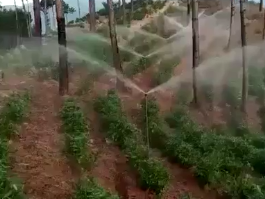 應用視頻
