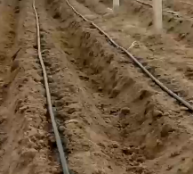 應用視頻