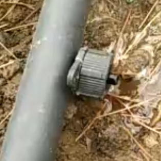 應用視頻