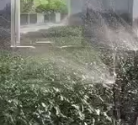 應用視頻