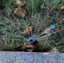 應用視頻