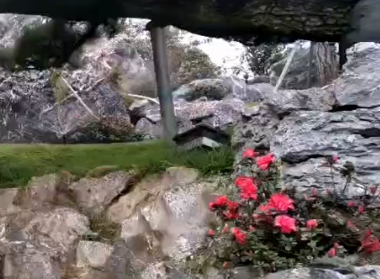 應用視頻