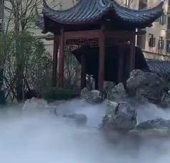 應用視頻