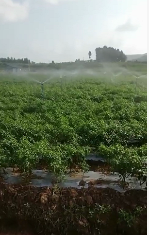 閬中市枇杷蔬菜園物聯(lián)網(wǎng)水肥一體化項目