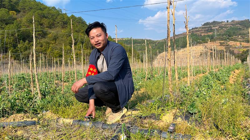自從用上小滴灌 旱地變成“致富田”